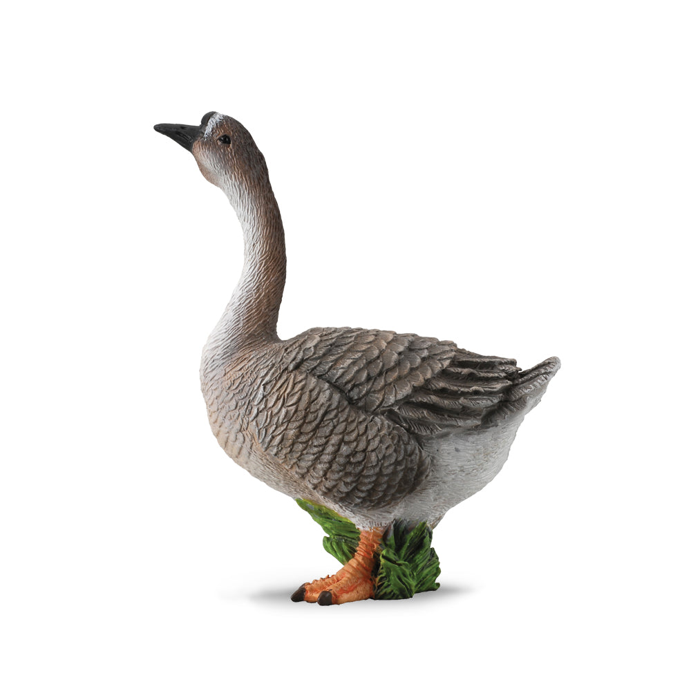 Goose (3 Years +)