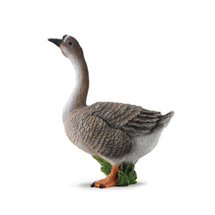 Goose (3 Years +)