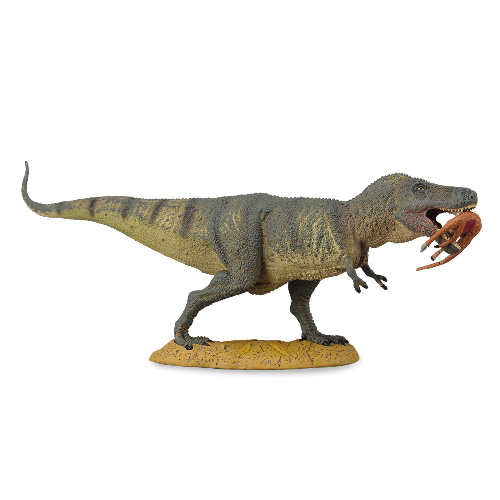 Tyrannosaurus Rex With Prey Struthiomimus (3 Years +)