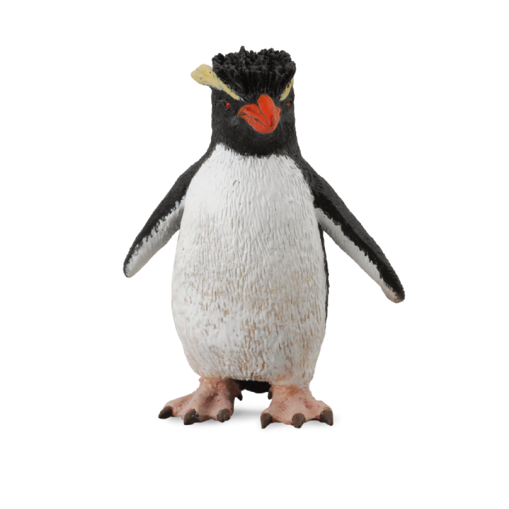 Rockhopper Penguin (3 Years +)