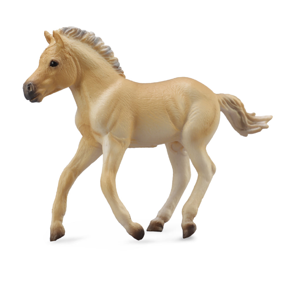 Fjord Foal Brown Dun (3 Years +)