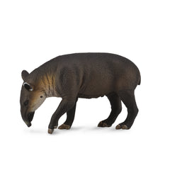 Baird'S Tapir (3 Years +)