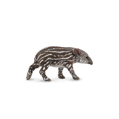 Baird'S Tapir Calf (3 Years +)
