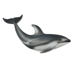 Pacific Whitesided Dolphin (3 Years +)