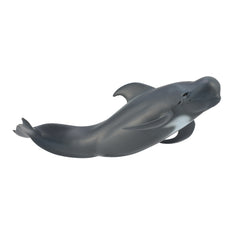 Pilot Whale (3 Years +)