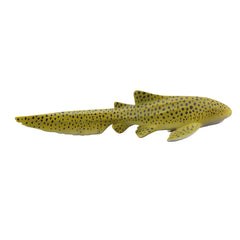 Zebra Shark (3 Years +)