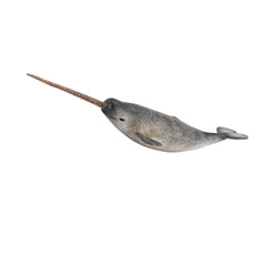 Narwhal (3 Years +)