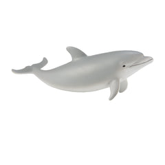 Bottlenose Dolphin Calf (3 Years +)