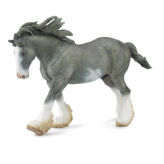 Clydesdale Stallion Black Sabino Roan (3 Years +)