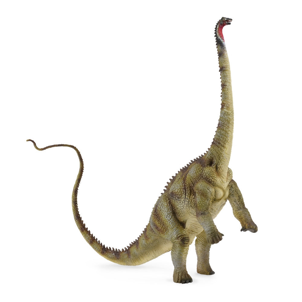 Diplodocus (3 Years +)