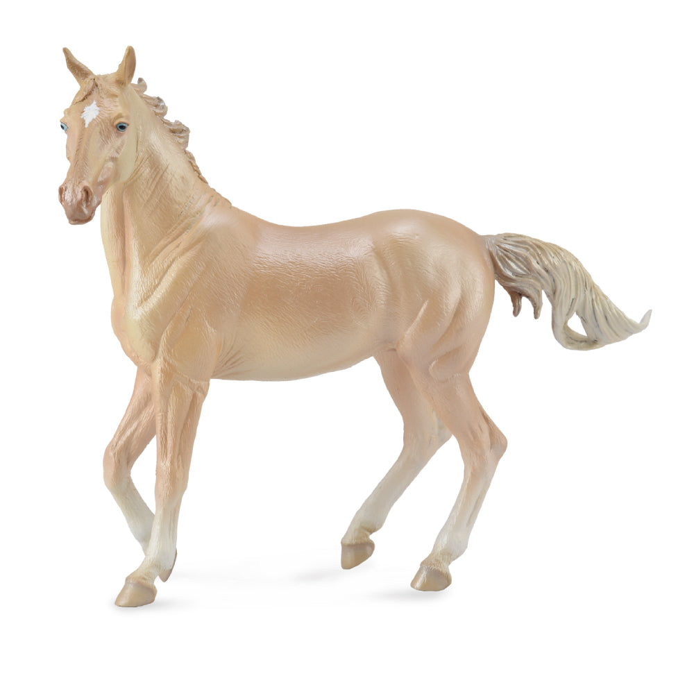 Akhalteke Mare Perlino (3 Years +)