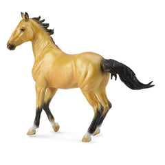 Akhalteke Mare Buckskin (3 Years +)