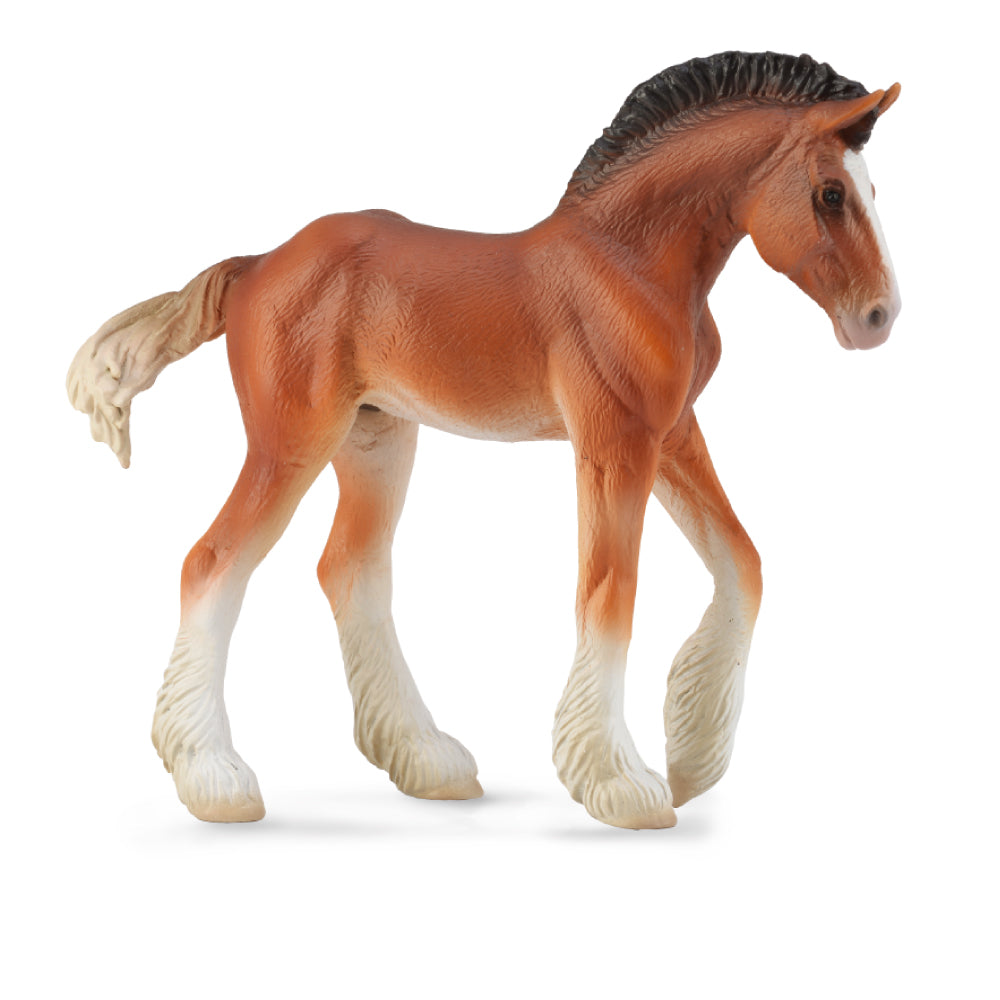 Clydesdale Foal Bay (3 Years +)