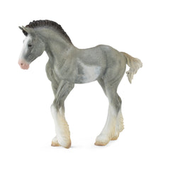 Clydesdale Foal Black Sabino Roan (3 Years +)
