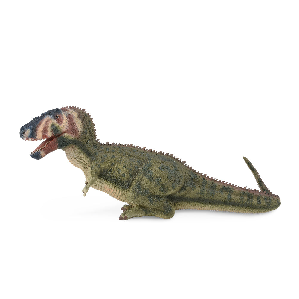 Daspletosaurus (3 Years +)