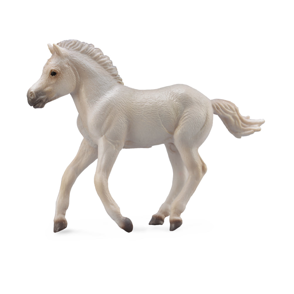 Fjord Foal Grey (3 Years +)