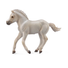 Fjord Foal Grey (3 Years +)
