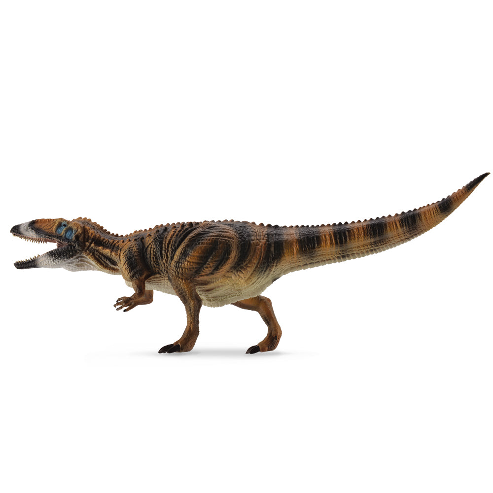 Carcharodontosaurus 1:40 (Deluxe) (3 Years +)