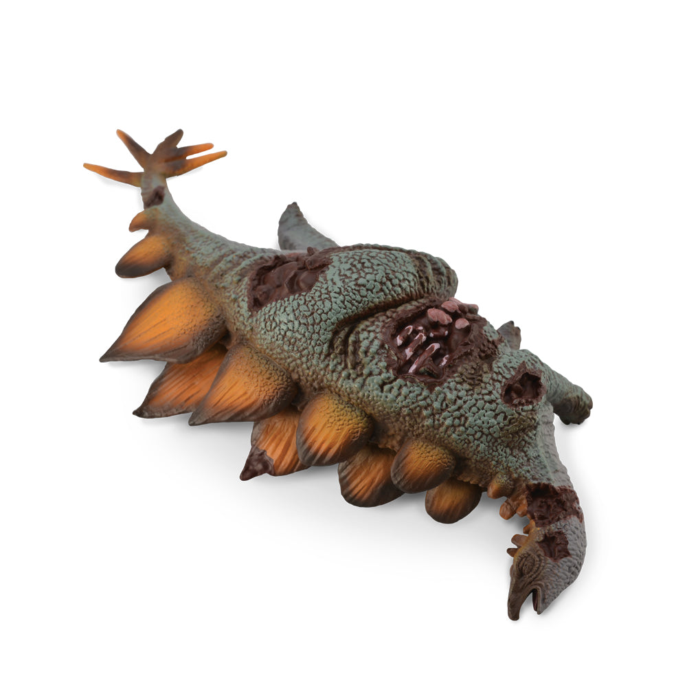 Stegosaurus Corpse (3 Years +)