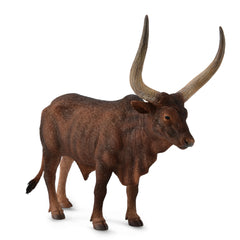 Ankolewatusi Bull (3 Years +)