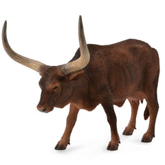 Ankolewatusi Cow (3 Years +)