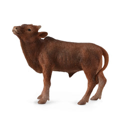 Ankolewatusi Calf (3 Years +)