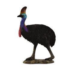 Southern Cassowary (3 Years +)