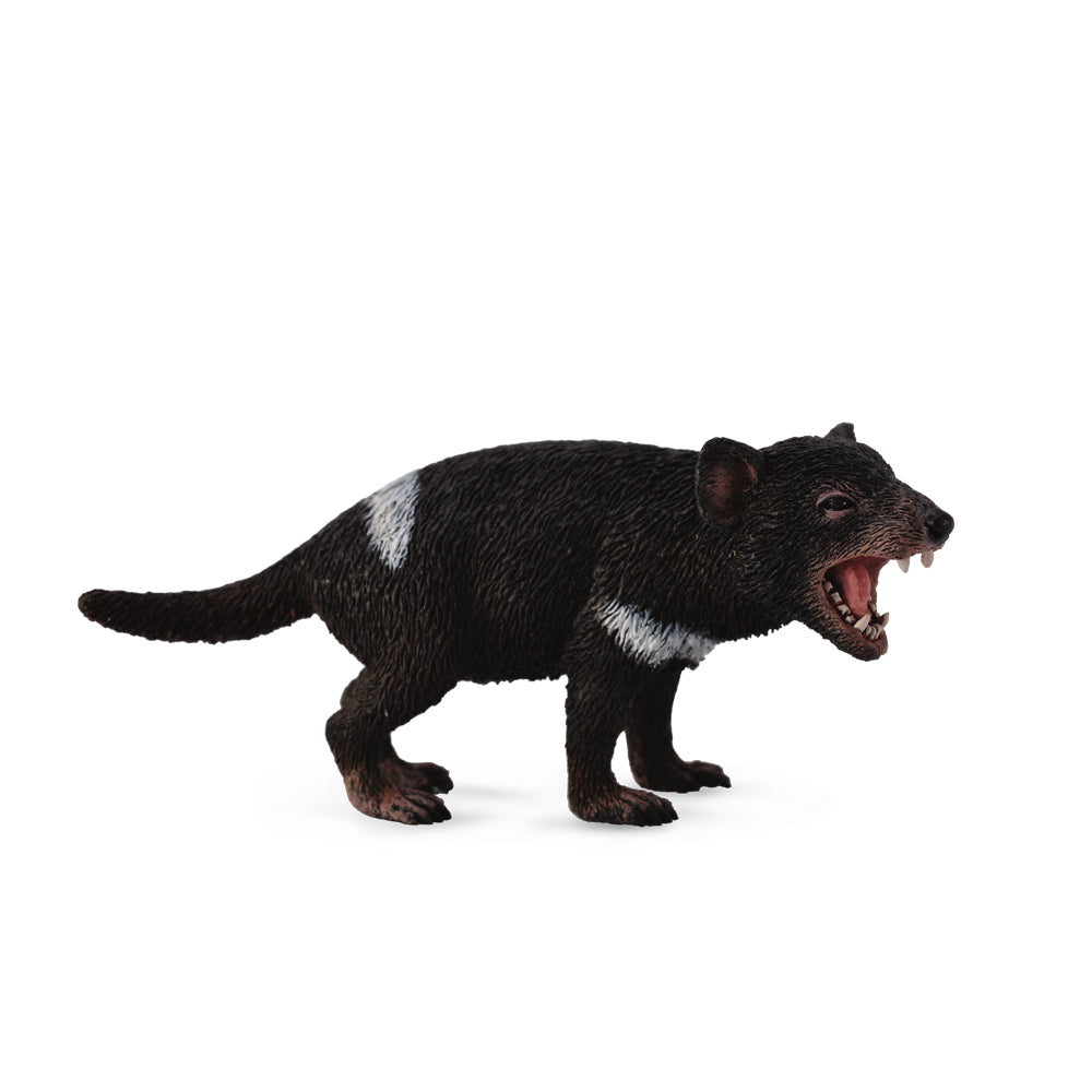Tasmanian Devil (3 Years +)