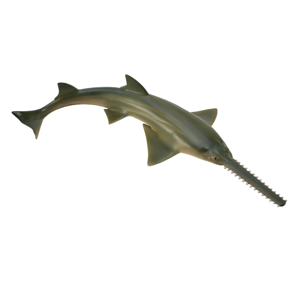Sawfish (3 Years +)