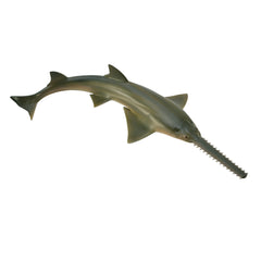 Sawfish (3 Years +)