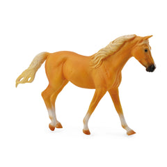 Missouri Fox Trotter Mare Palomino (3 Years +)