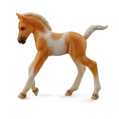 Pinto Foal Walking Palomino (3 Years +)
