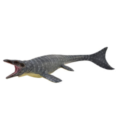 Mosasaurus (3 Years +)