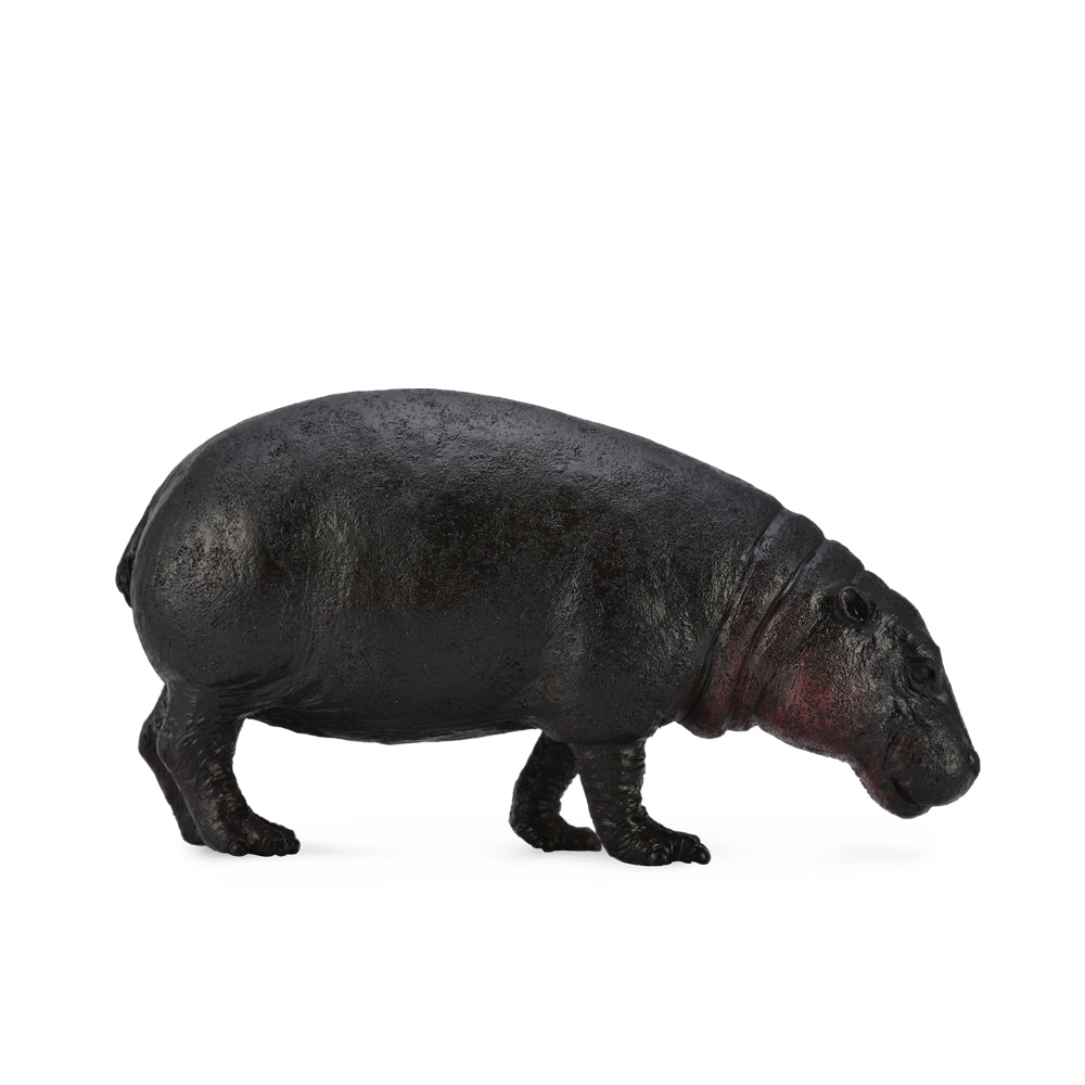 Pygmy Hippopotamus (3 Years +)