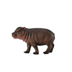 Pygmy Hippopotamus Calf (3 Years +)