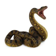Green Anaconda (3 Years +)