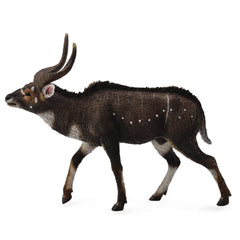 Mountain Nyala (3 Years +)