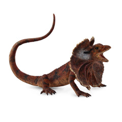 Frillnecked Lizard (3 Years +)