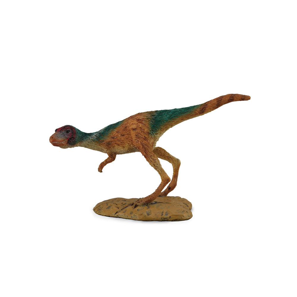 Juvenile Tyrannosaurus Rex (3 Years +)