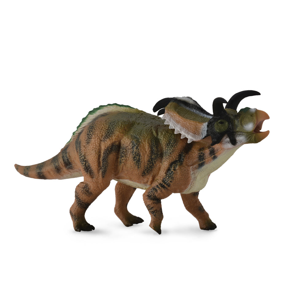 Medusaceratops (3 Years +)