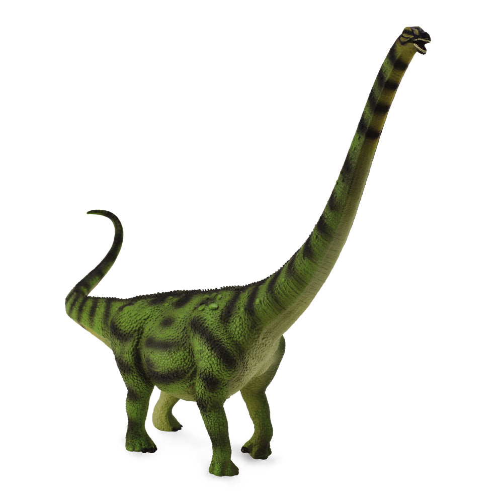 Daxiatitan (3 Years +)