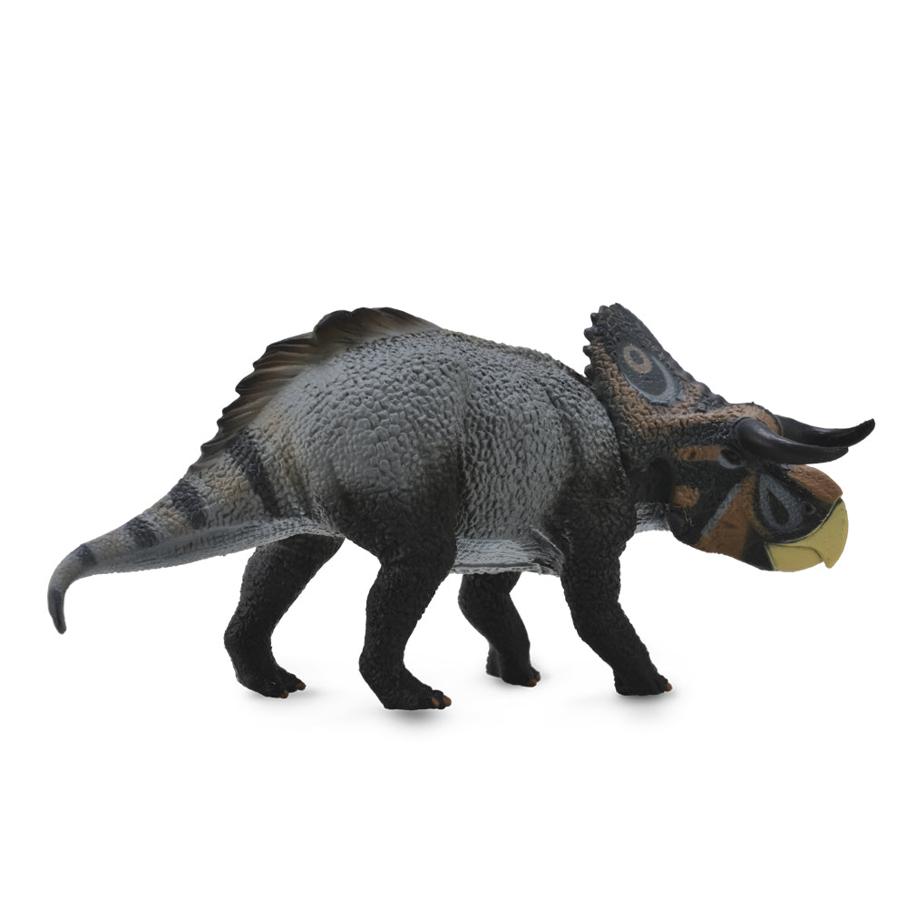 Nasutoceratops (3 Years +)