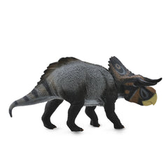 Nasutoceratops (3 Years +)