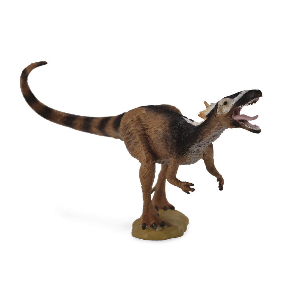 Xiongguanlong (3 Years +)