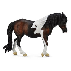 Dartmoor Hill Mare Bay (3 Years +)