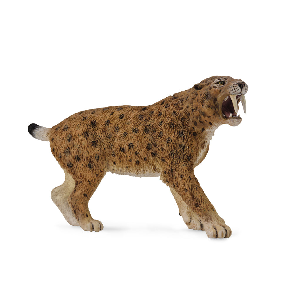 Smilodon (3 Years +)