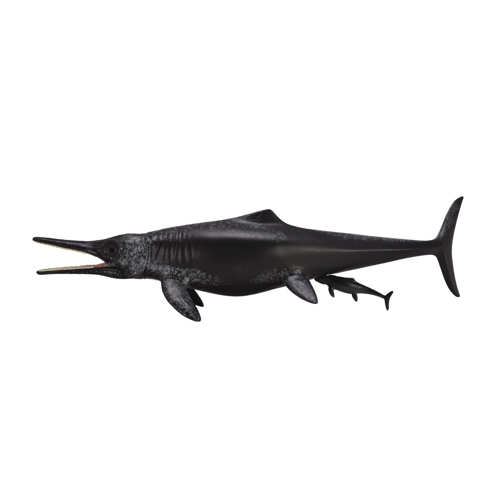 Temnodontosaurus Platyodon Birth (3 Years +)