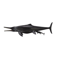 Temnodontosaurus Platyodon Birth (3 Years +)
