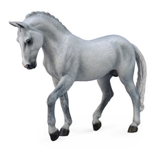 Trakehner Stallion Grey (3 Years +)