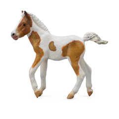 Dartmoor Hill Foal Skewbald (3 Years +)